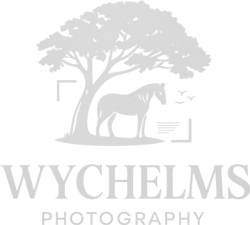 Wychelms Photography
